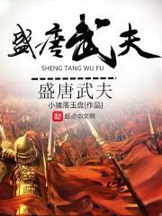 盛唐风流武状元网