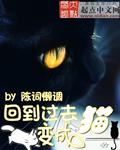 回到过去变成猫经典语录