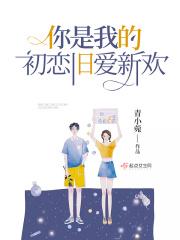 初恋旧爱新欢伴奏