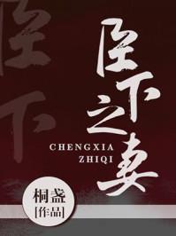 臣下之妻桐盏话本网