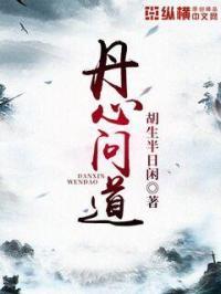 丹心是什么意思解释