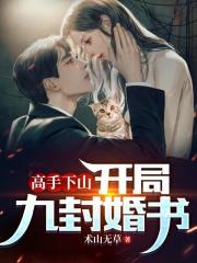 高手下山开局九封婚书(又名龙耀天下) 第31章