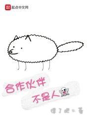 合作伙伴承担什么责任