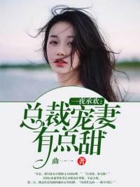 一夜甜宠总裁宠妻上瘾
