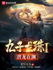 九龙珠是什么意思