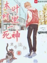 木叶村是啥