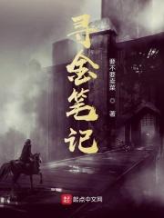 寻金是什么意思