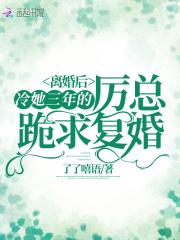 第一章厉总离婚后
