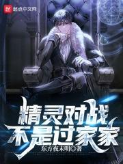 精灵对战动漫