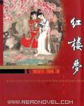 红楼梦故事