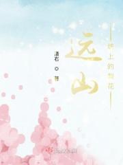 歌词远处的山坡上处处野花香
