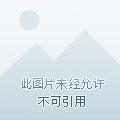 再见倾心的意思