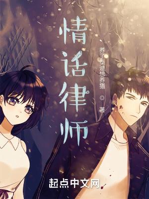 感情律师