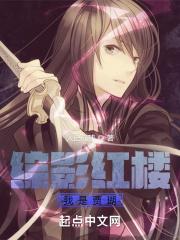 综影视红楼梦晋江
