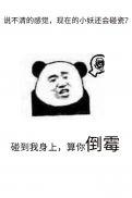 灭了天道后我成了死对头的师妹