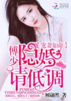 女主角叫洛南初男主叫傅庭渊