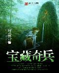 奇宝奇兵