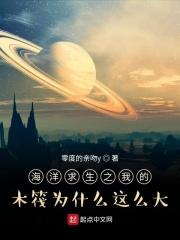 海洋木筏生存中文版