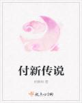 超威新传奇电池