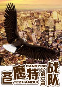 铁血战鹰队第二季