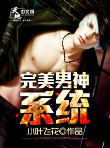 完美男神改造系统txt