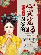 四爷的心尖宠妃短剧演员表