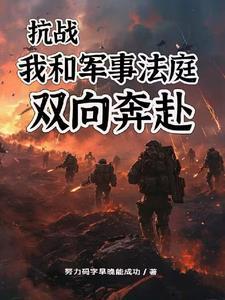 李云龙抗日战争电视剧
