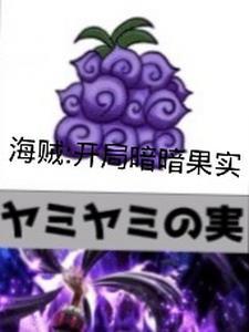 海贼开局抢到暗暗果实笔趣阁