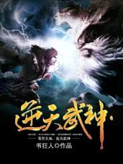 逆天武神简介