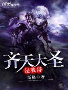 齐天大圣是我哥免费阅读