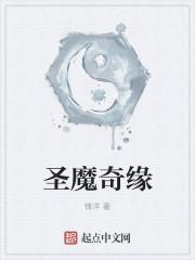 圣魔girls标准版图文攻略