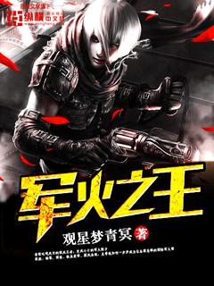 军火之王2