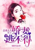 总裁大人的暖婚娇妻大结局