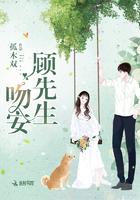 吻安沈先生免费阅读