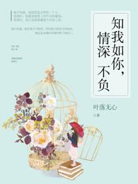 知我如你情深不负无删减版