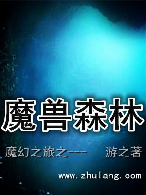 魔幻之旅电影免费观看国语版