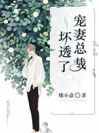 宠妻总裁坏透了1716