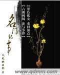 名门喜事全文免费阅读