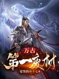陆仁云青瑶的