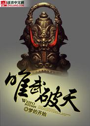 唯武之尊一共多少波