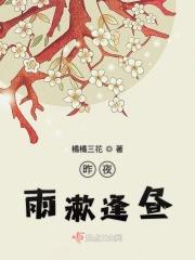昨夜雨疏风骤是什么
