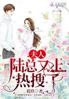 夫人开