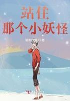 站住那个怪txt