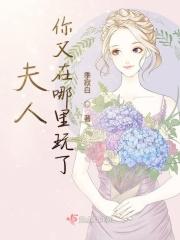 夫人你又在哪里玩了免费阅读