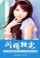 闪婚独宠全文免费