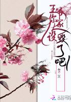 王爷你家太嚣张
