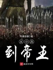 从小兵到帝国元帅的