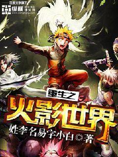 重生之火影世界精校版