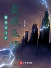 霍格沃茨之最强之獾txt