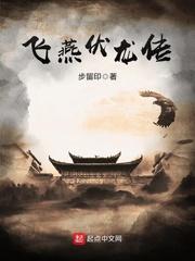 飞燕外传是啥